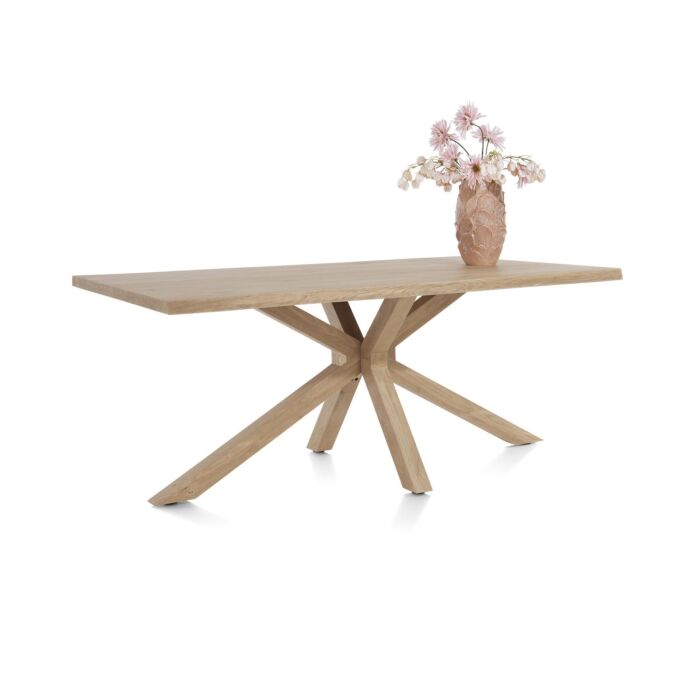 Eetkamertafel Nyborg 200 X 100 