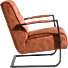 Northon, Fauteuil Met Swing-Frame Metaal Zwart