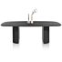  Pavie, Eetkamertafel Ovaal 240 X 120 Cm (Houten Poot) - Castle Black