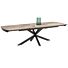 Pavalon, Uitschuiftafel 200 (+ 78) X 100 Cm - Driftwood