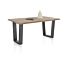 Eetkamertafel Nyborg 200 X 100 Metaal