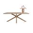 Eetkamertafel Nyborg 200 X 100 