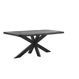 Eettafel met spinpoot 220x100 Newhaven