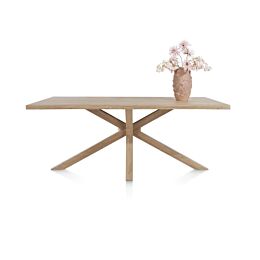 Eetkamertafel Nyborg 200 X 100 